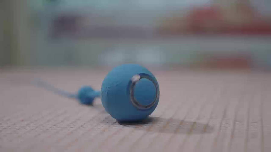 Pet Supplies Color Blue