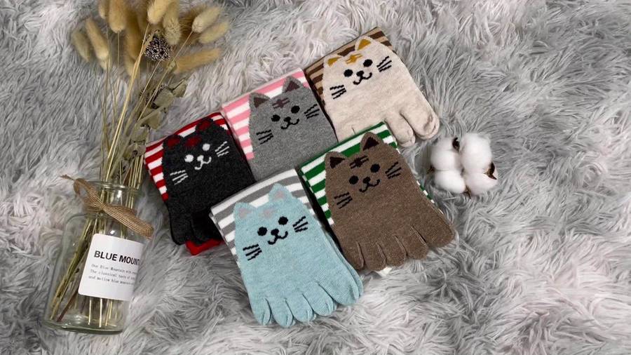 Women S Socks Color Striped Cat Size 49
