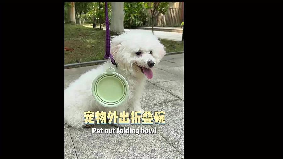 Pet Supplies Style Macaron Color 2 Capacity 350Ml