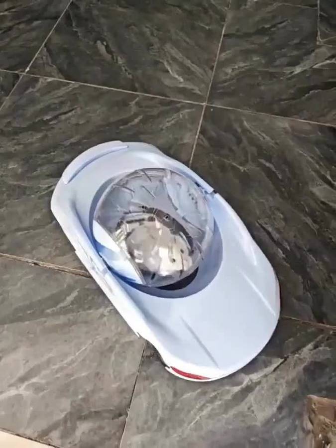 Pet Supplies Color Blue