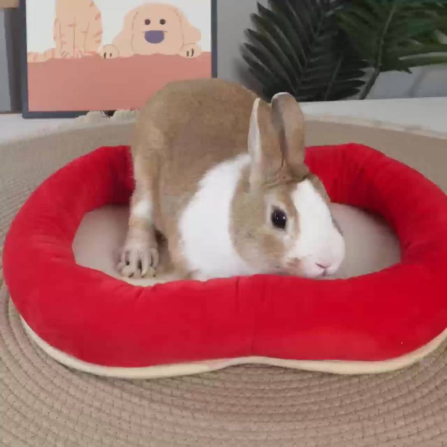 Pet Supplies Size L Style Apple