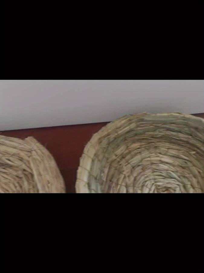 Pet supplies Items 2pcs