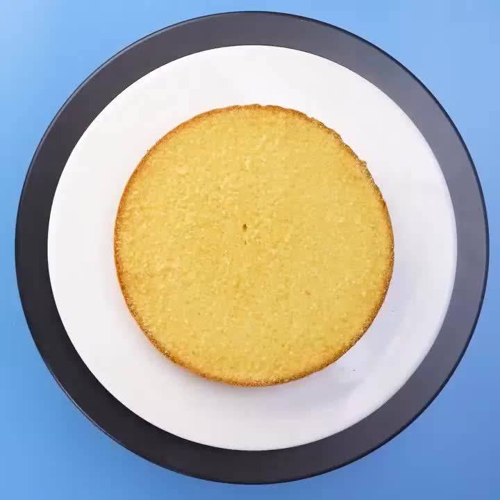 Professional Cake Decorating Head Color Blue