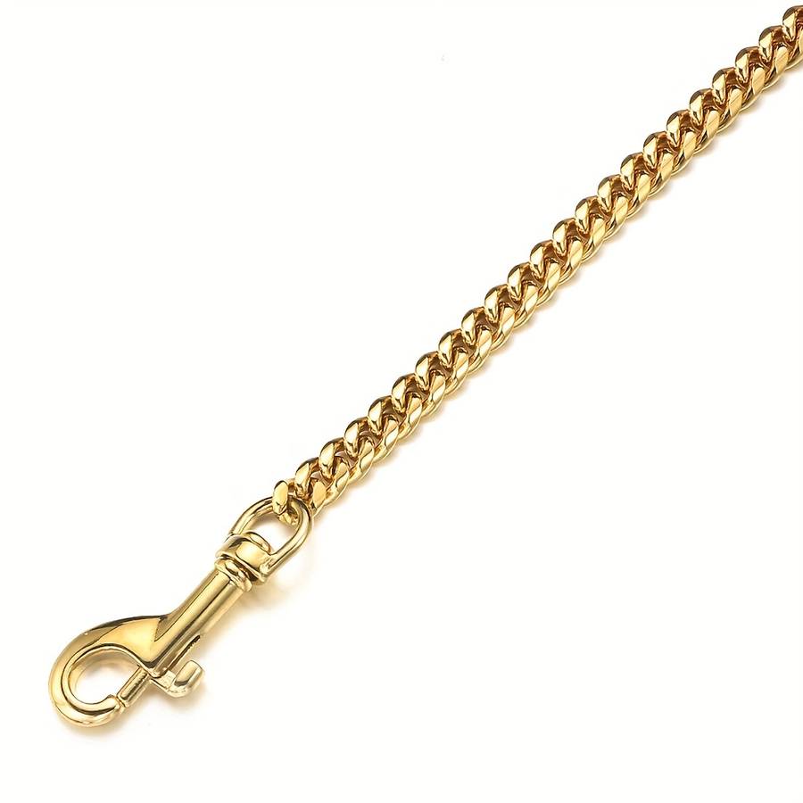 Dog Leash Color Golden Size 5Xl