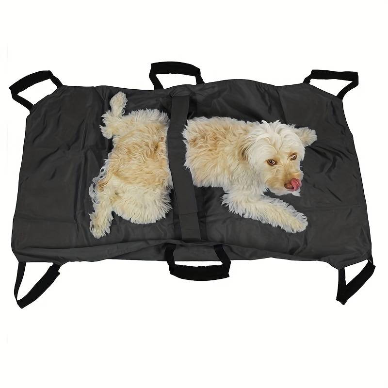 Pet Supplies Color Red