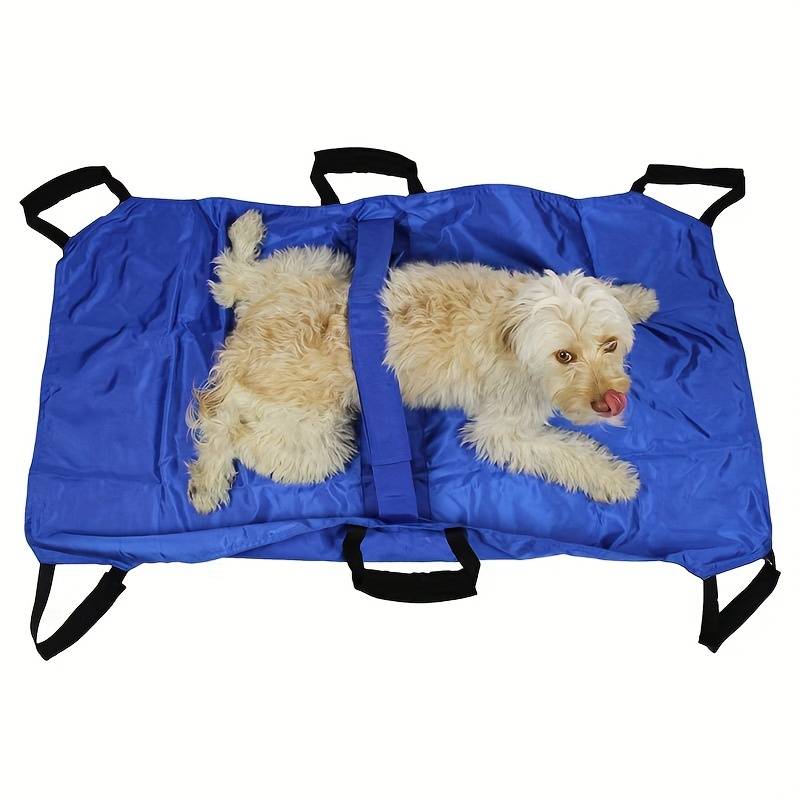 Pet Supplies Color Red