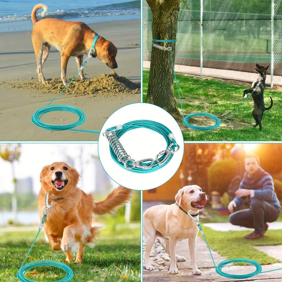 Dog Leash Color Lce Blue For 56.7Kg Size 15Ft