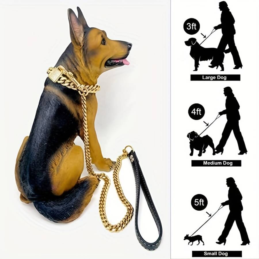 Dog Leash Color Golden Size 5Xl