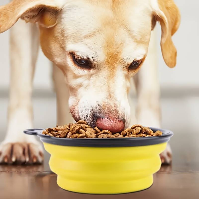 Pet supplies Quantity 6Pack