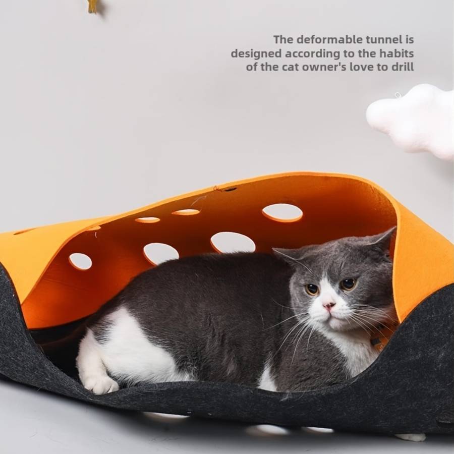 Pet Supplies Color Orange Add  Gray