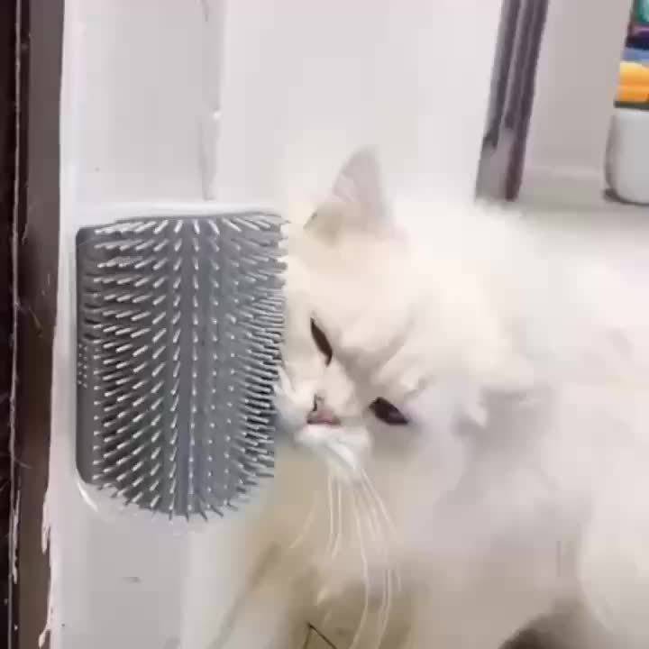 Pet Supplies Color Grey
