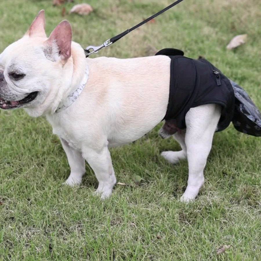 Pet supplies color Black size L