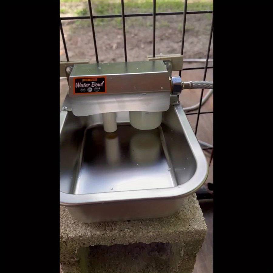 Pet Supplies Size Large