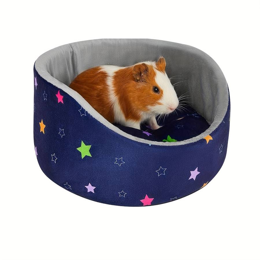 Pet supplies color Blue