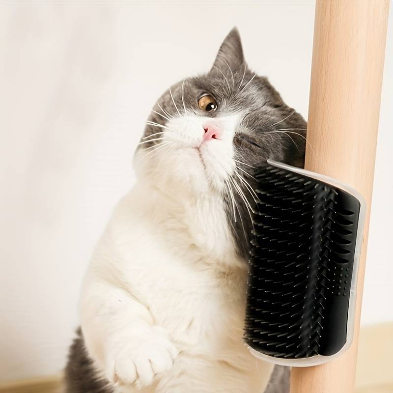 Pet Supplies Color Grey