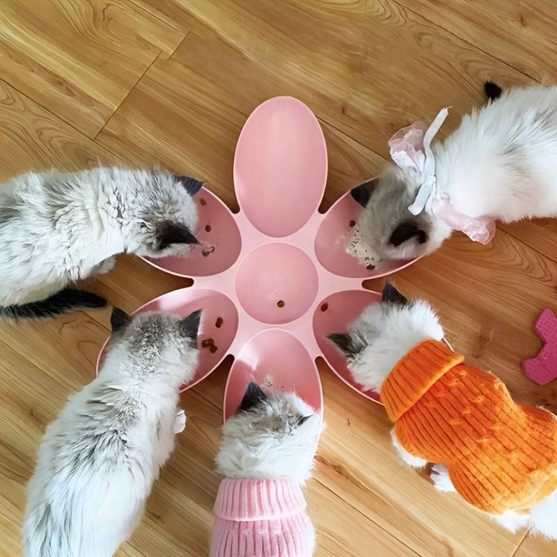 Pet Supplies Color 1 Sky Blue Items 6 Grid Petal Bowl