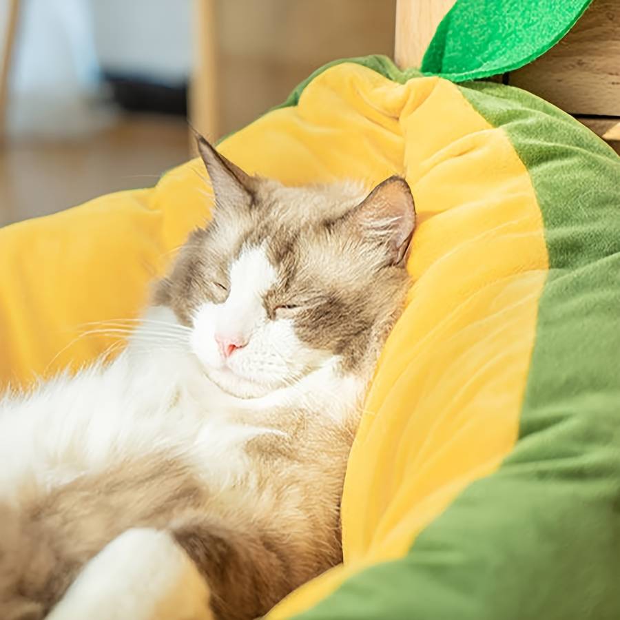 Pet supplies color Avocado Green size S