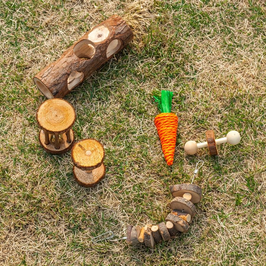 Pet supplies Model 8pcs Set