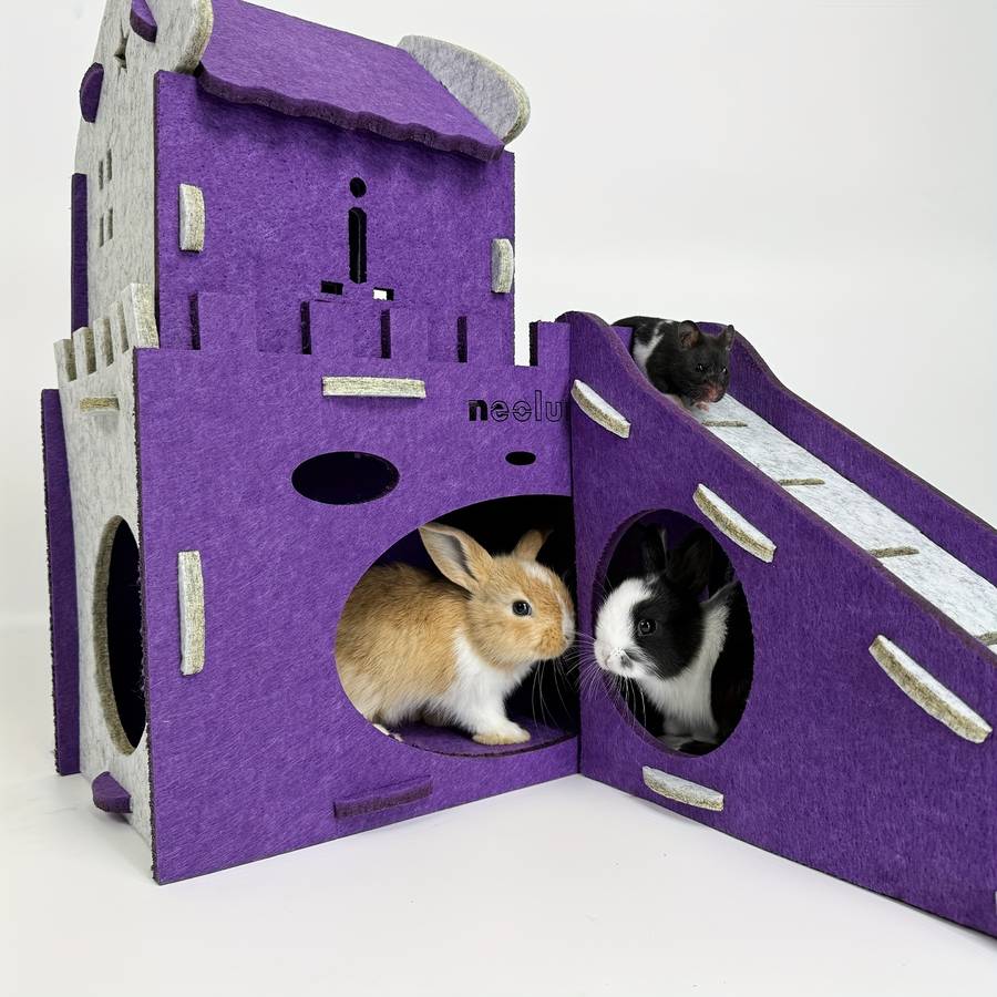 Pet Supplies Color Purple