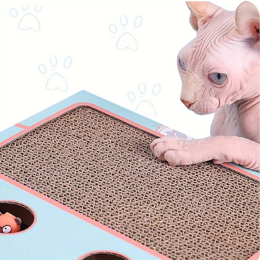 Pet Supplies Color Blue