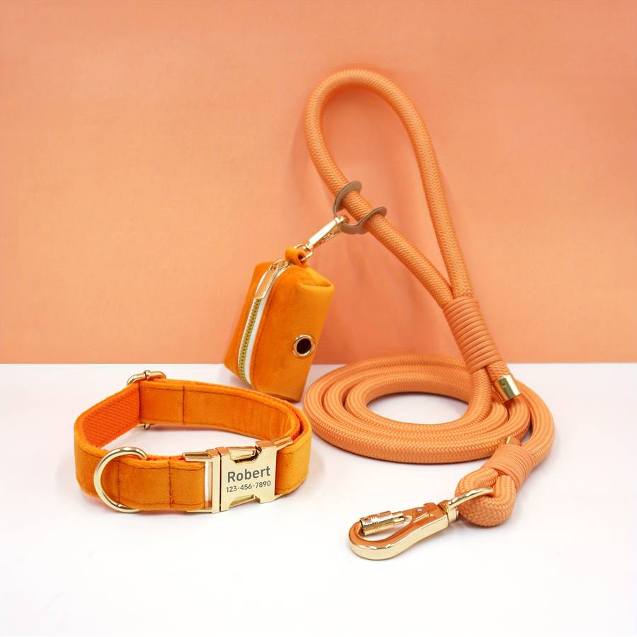 Dog Leash Color Cream Velvet Round Rope 3Piece Set Size M