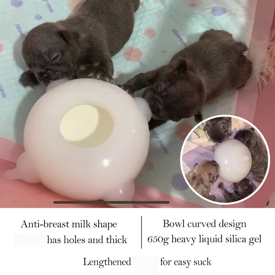 Pet Supplies Quantity 1Pc