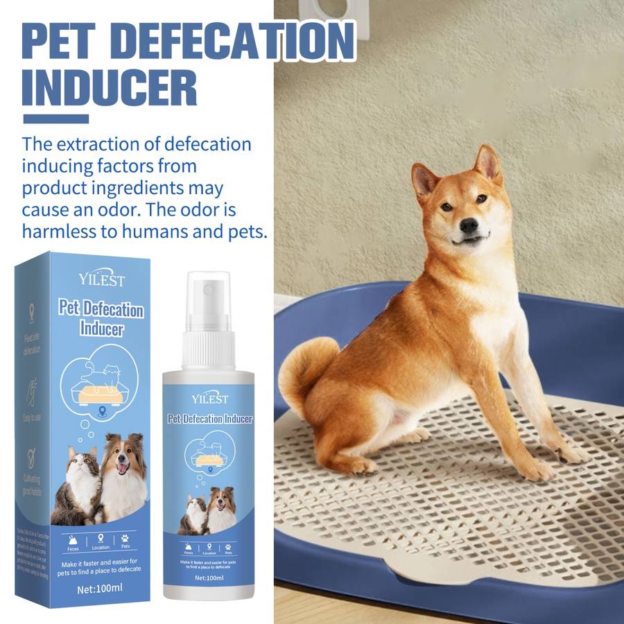 Pet supplies Quantity 1pc