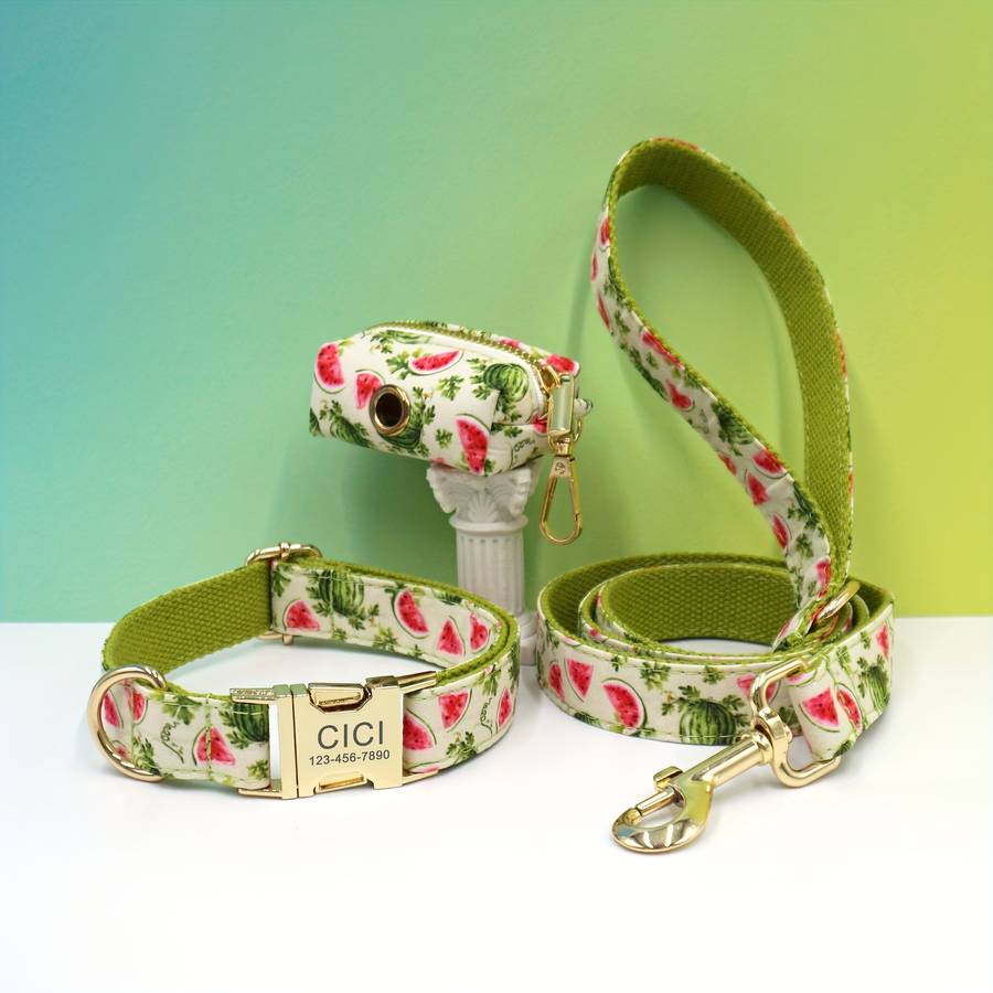 Dog Leash Color Watermelon Dog Circle 3Piece Set Size M