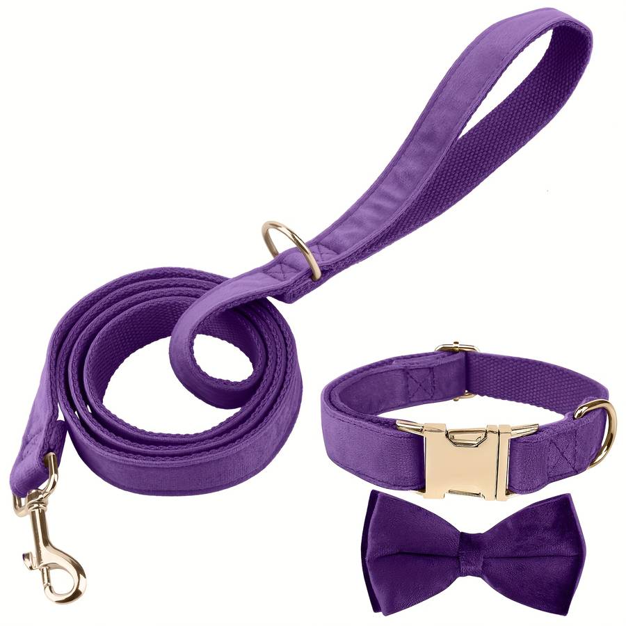 Dog Leash Color Royal Blue Size M