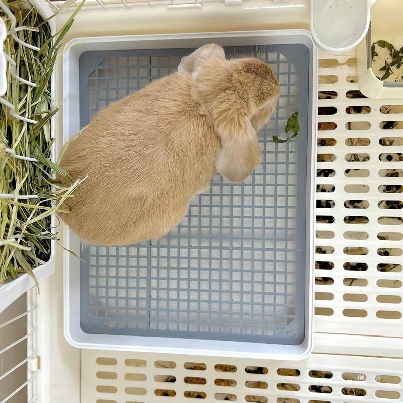 Pet supplies Quantity 1pc
