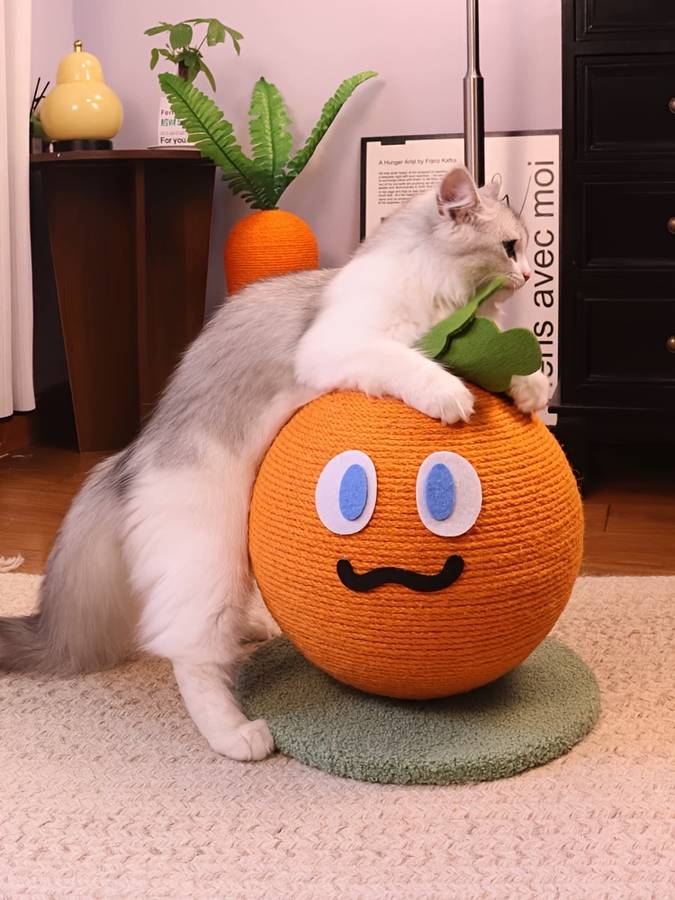 Pet Supplies Items Small Carrot Cat Scratching Ball