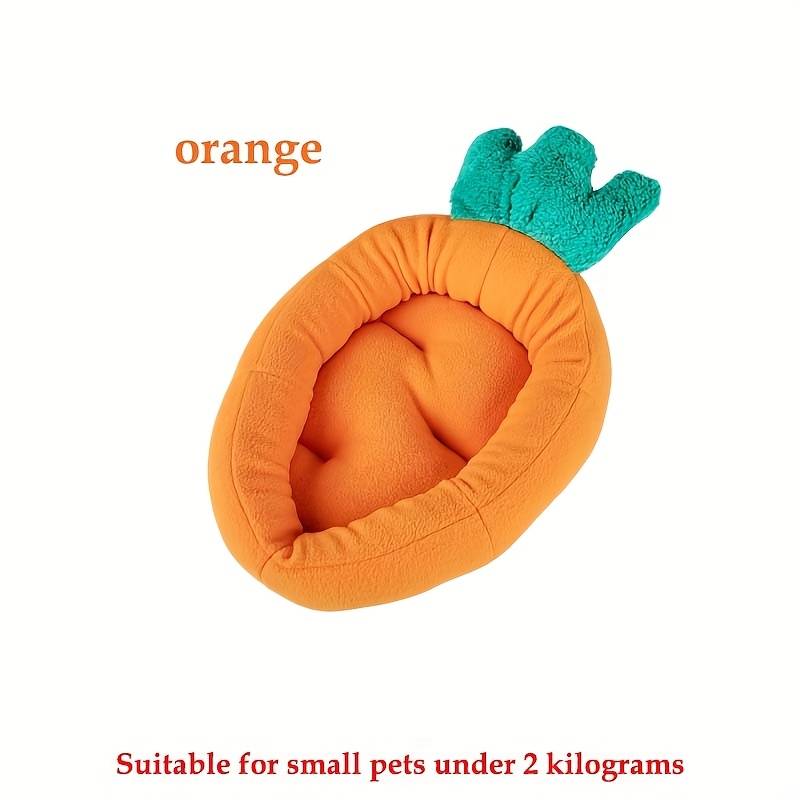 Pet supplies color Blue