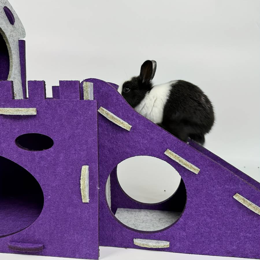 Pet Supplies Color Purple