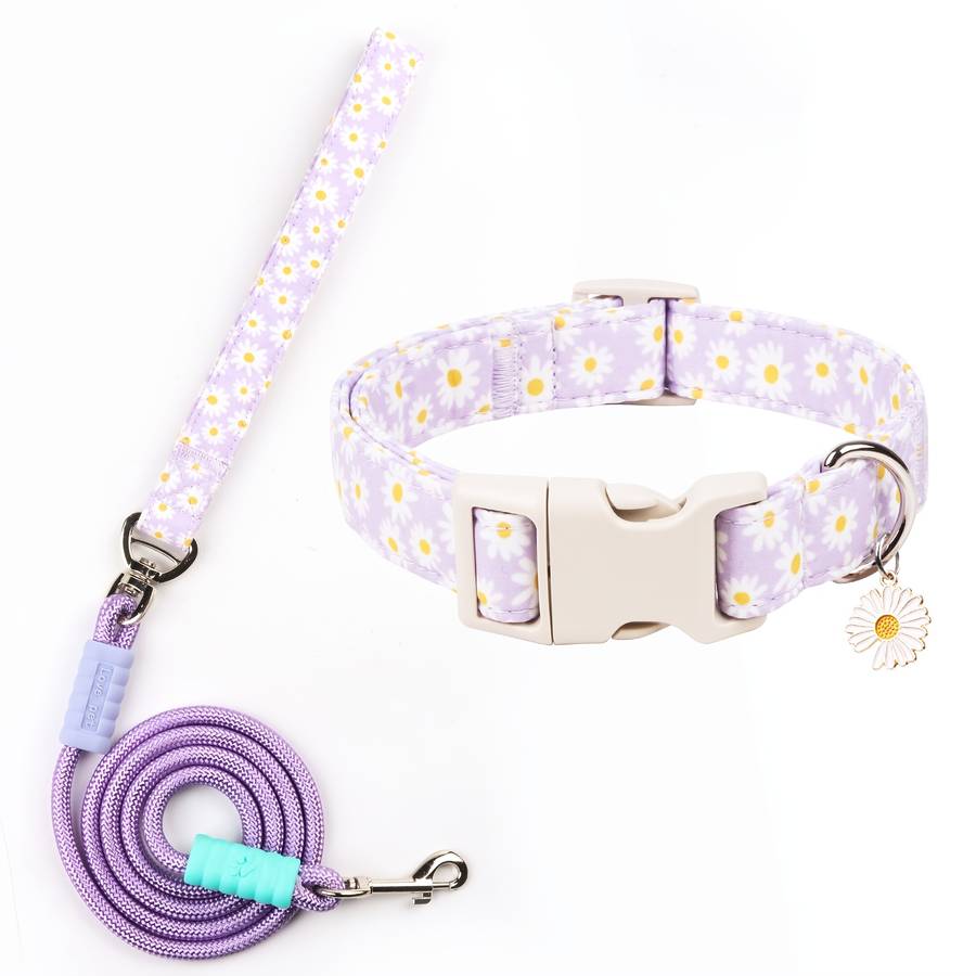 Dog Leash Color Purple Size S