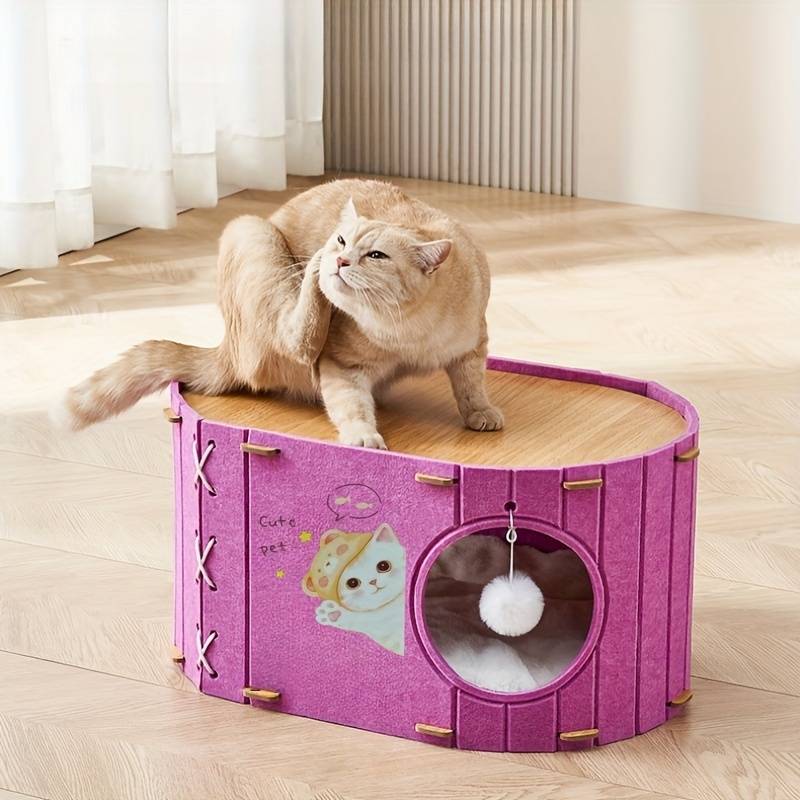 Pet Supplies Color Purple Model Double Layer