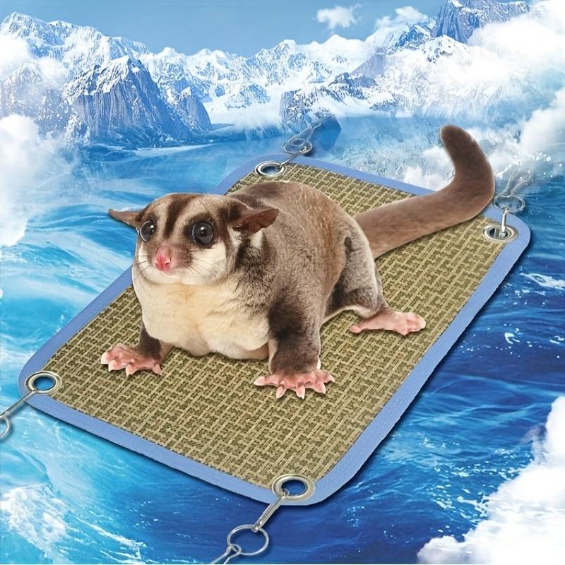 Pet supplies size 19.99x30.0cm