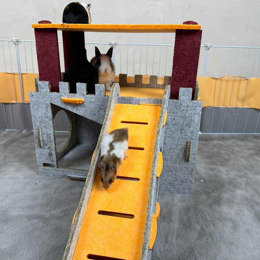 Pet Supplies Color Gray