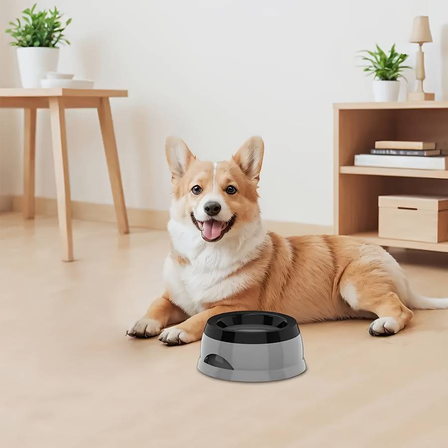 Pet supplies color Blue