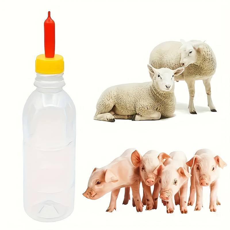 Pet Supplies Quantity 9 Pcs  Set