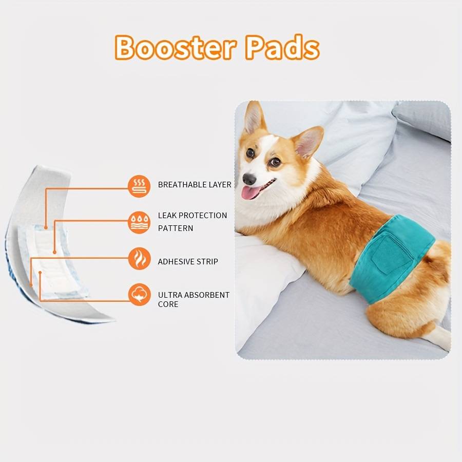 Pet supplies size M