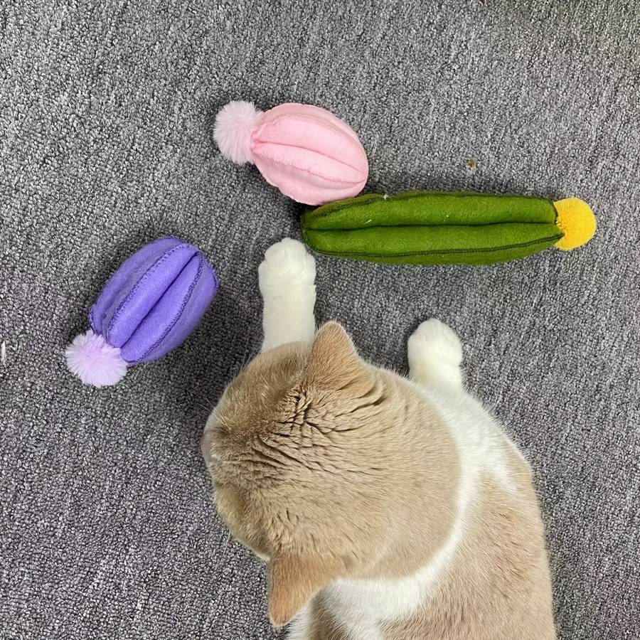 Pet supplies color Yellow