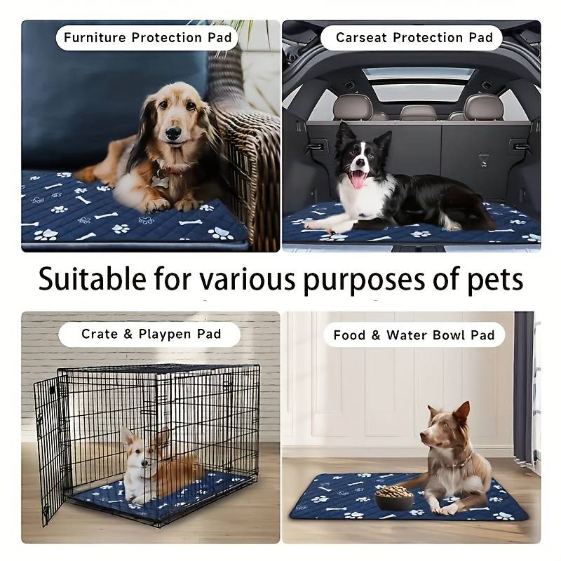 Pet supplies color Blue Quantity 2pcs