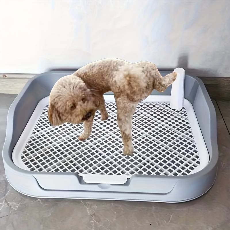 Pet supplies color Grey      Standing Column