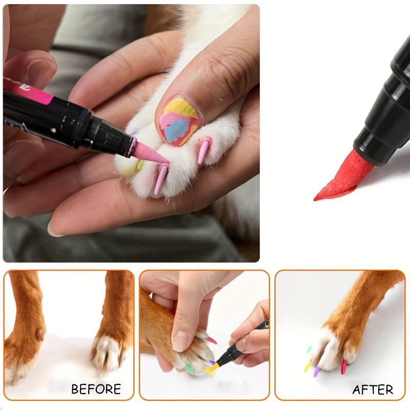 Pet Supplies Quantity 12