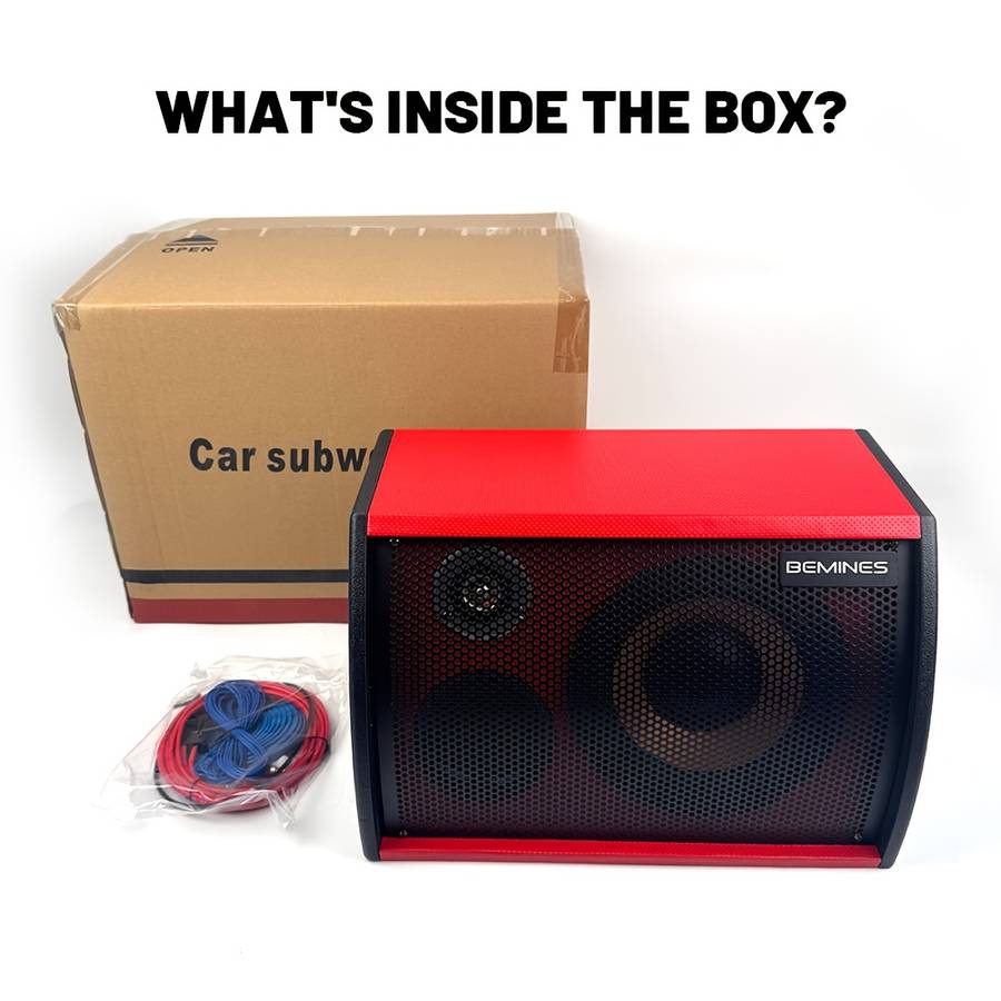 Smart Featuring Crystal Sound 700W Max Power Inch For Festival Celebration 10