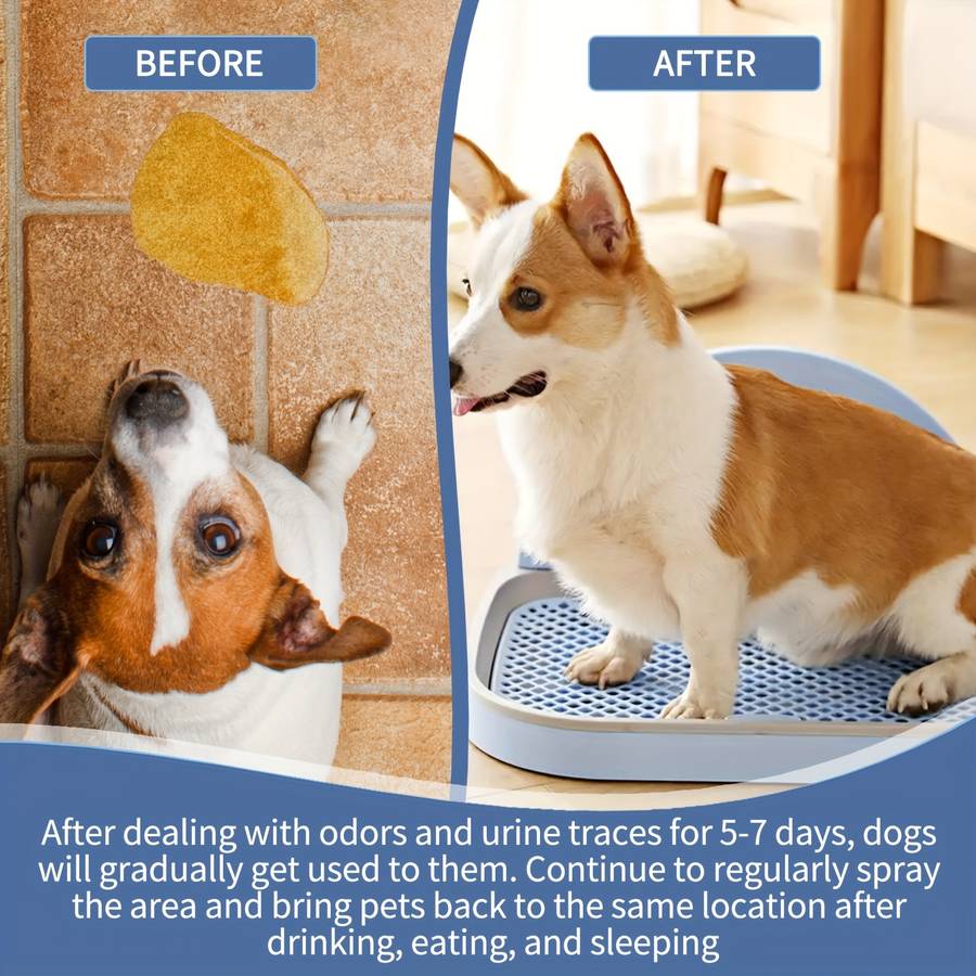 Pet supplies Quantity 1pc