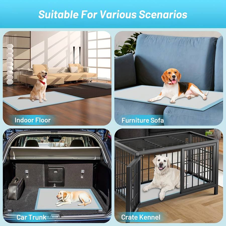 Pet supplies color Blue 100PC Model P                    02