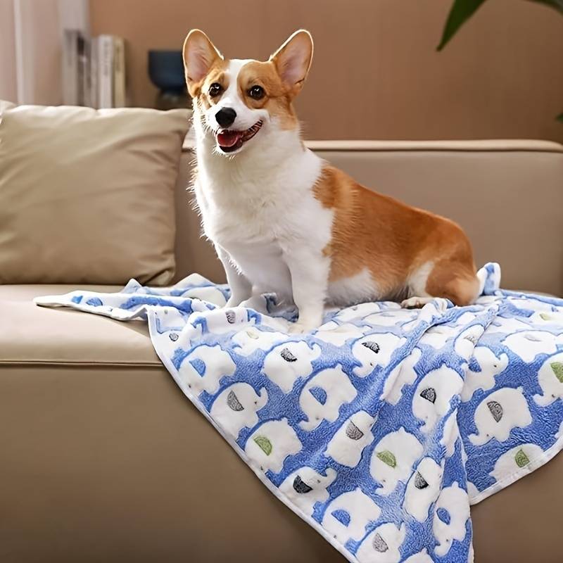 Pet supplies color Yellow size M  76.2x50.8cm