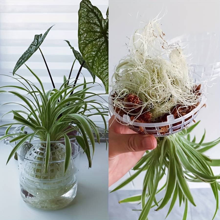 Flowerpot Model 10 01 Cm Ball 5 Pieces