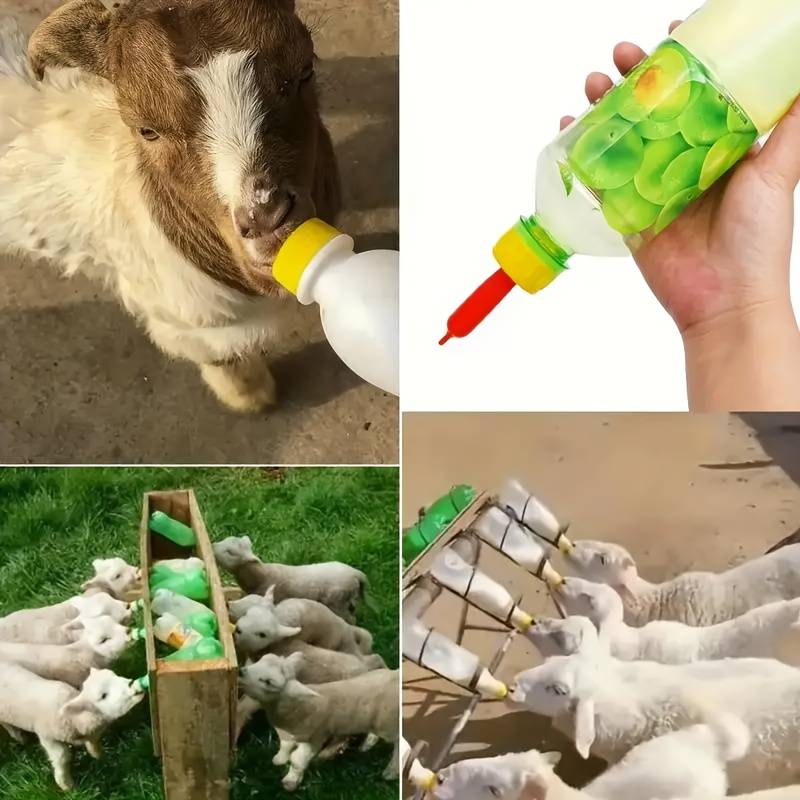 Pet Supplies Quantity 9 Pcs  Set